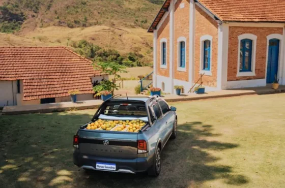 28 de julho: Dia do Agricultor